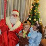 Новый год 2014