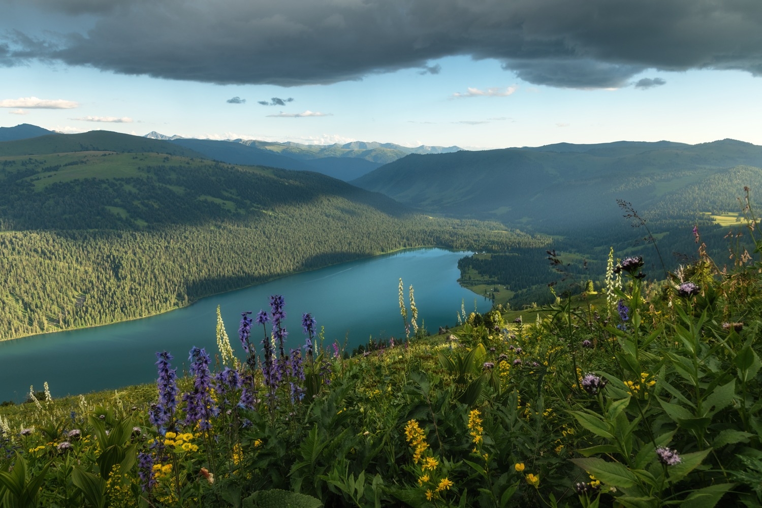 slvhtc5en8nexbs4cfqnwkc5v4bk3zy8wy4ba8g7bodtfui9ce8k4jbvup2yog4nbqdgyfevyz49lgzkuotzwwkm