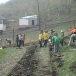 "Марш парков - 2011" в Горно-Алтайске