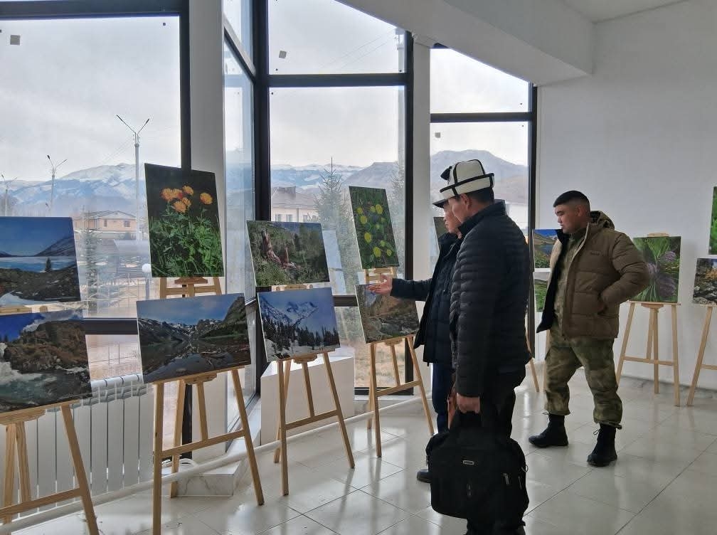 d-z_8m_rtbzwqodvdghs5juleiq73a4fjg3m27kz1eiypsplghcwa42qo_s2x84xpino8h8naogsjrdoy7lqaq1q