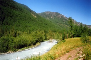 Река в Катунском заповеднике